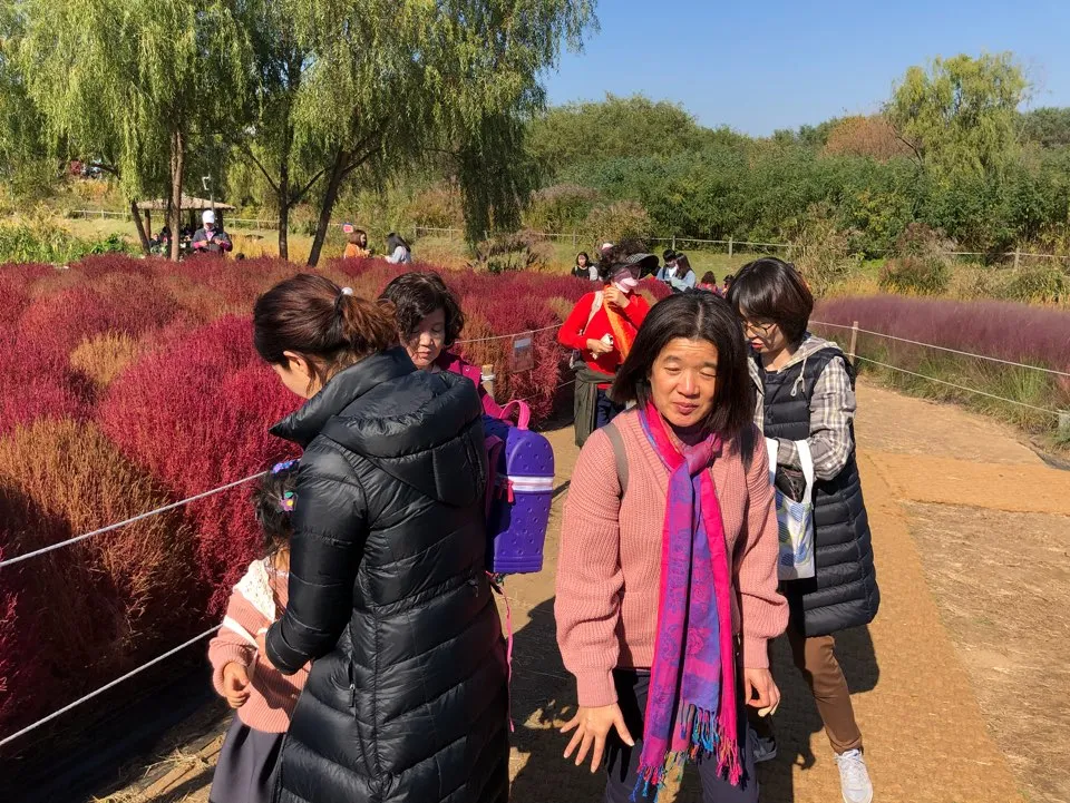 제자훈련팀 가을소풍 사진 4